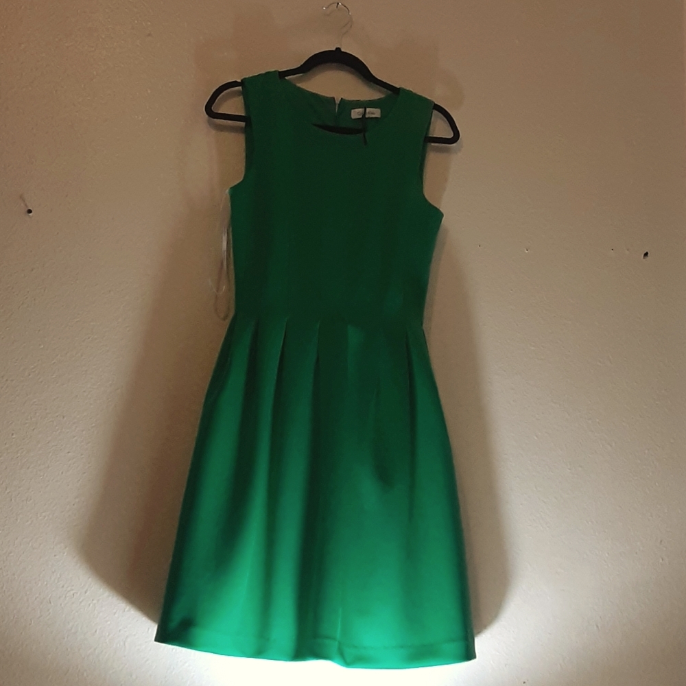 I am selling this green dress